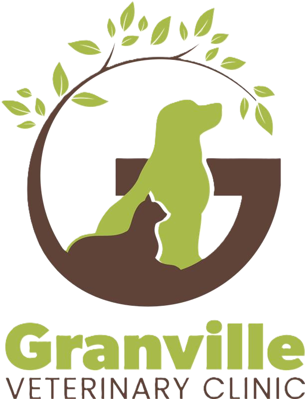 Granville Veterinary Clinic Home